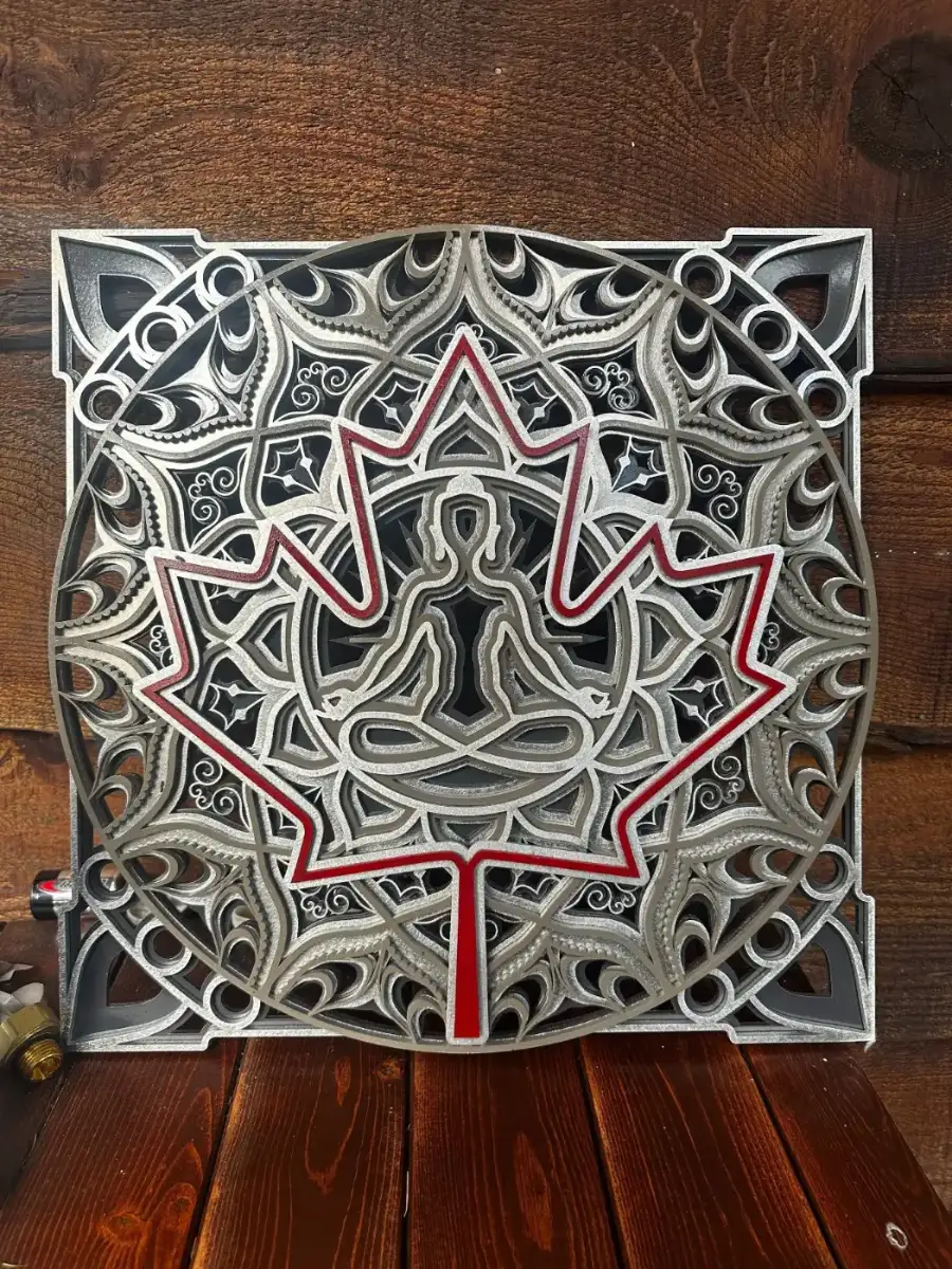 Conscious Canadian, layered wall art